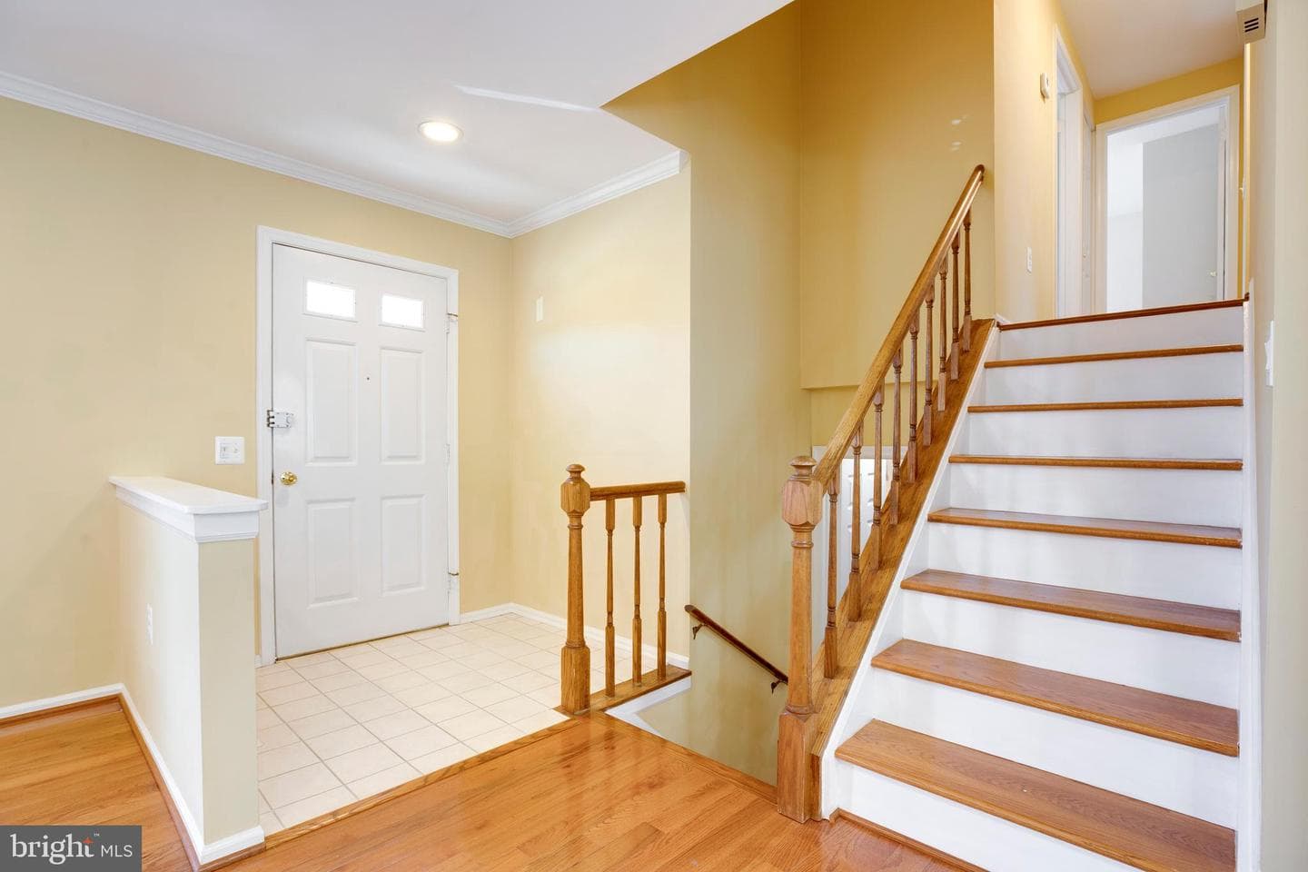 11905 Basswood Drive photo 4
