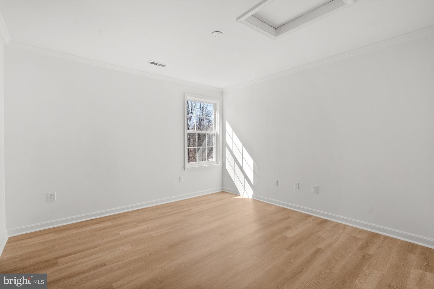 10307 Crystal Brook Court photo 39