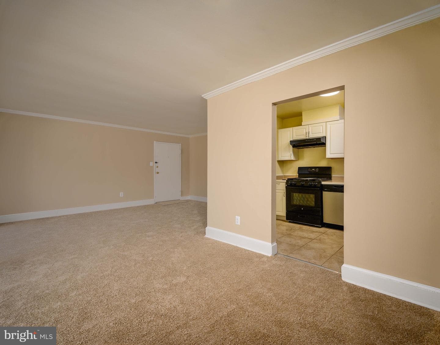 3132 Brinkley Road #304 photo 3