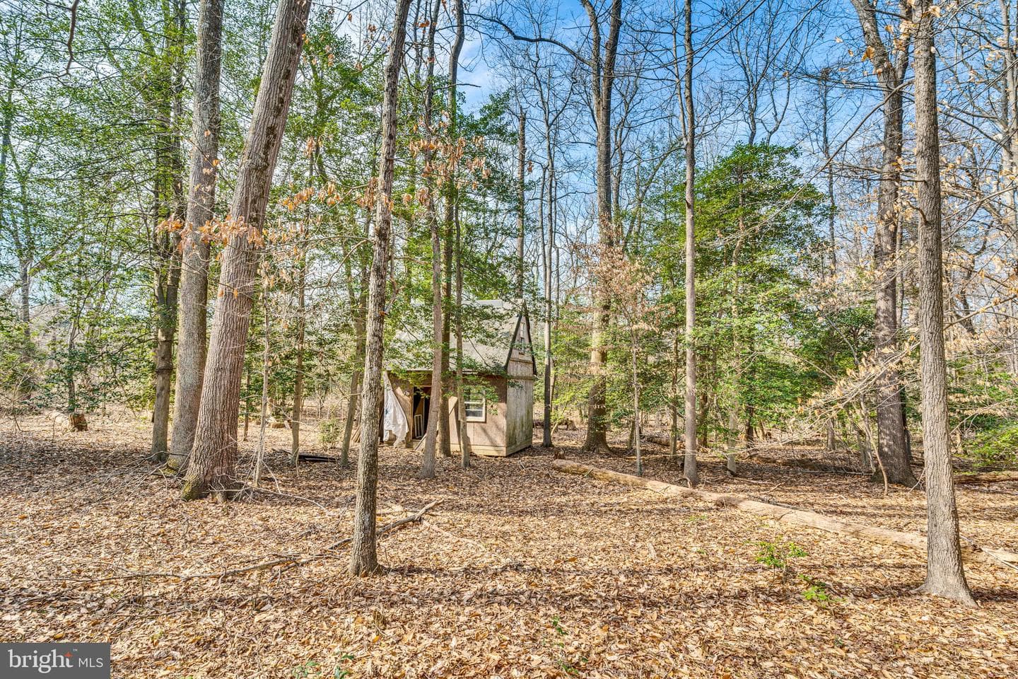 14711 Cactus Hill Road photo 29