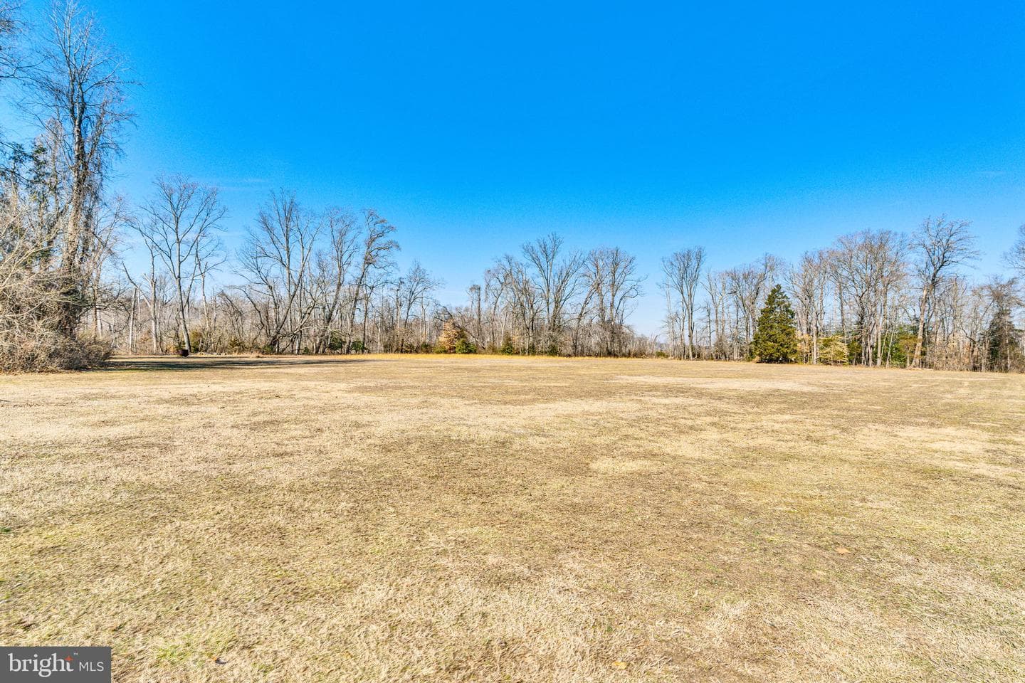 14711 Cactus Hill Road photo 32