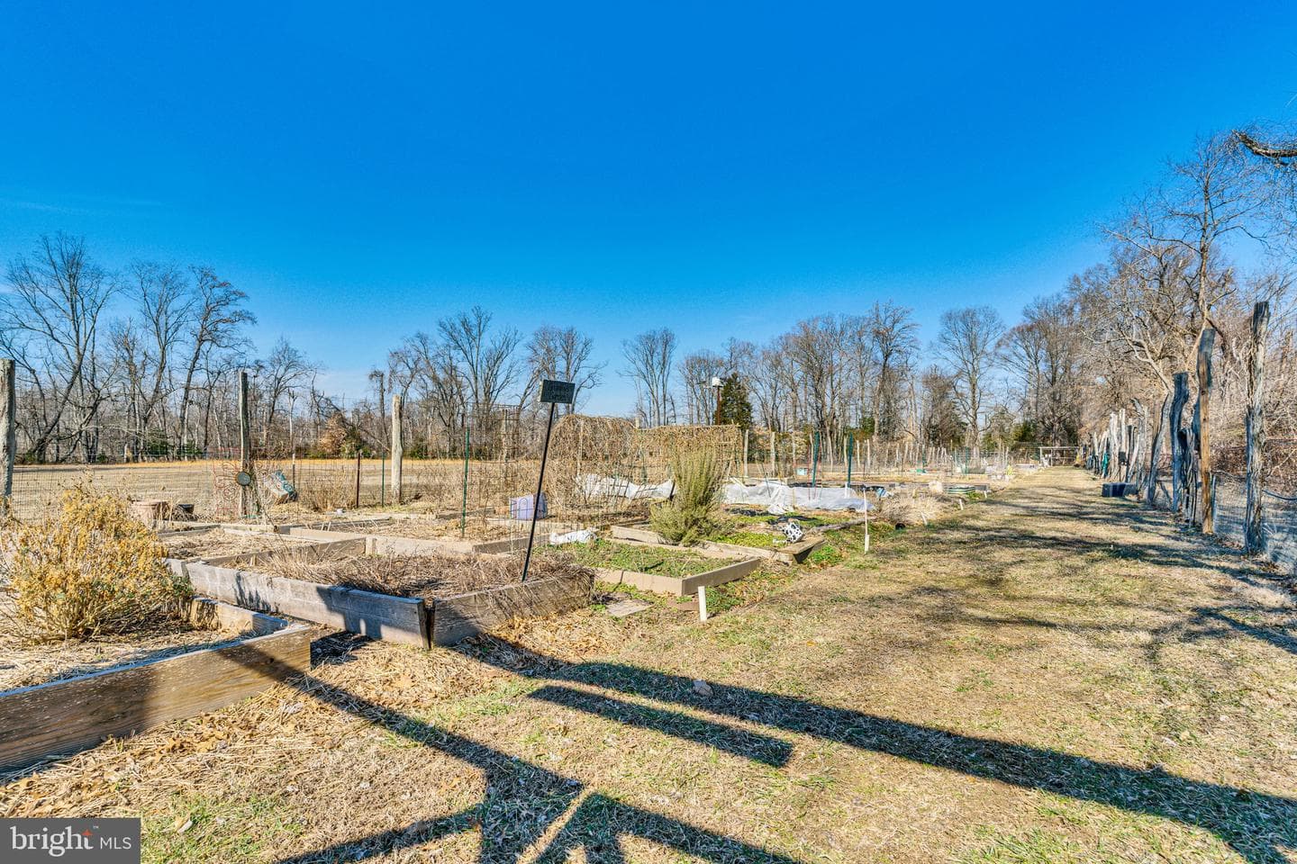 14711 Cactus Hill Road photo 34