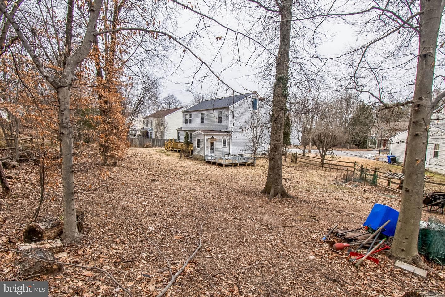 8204 Climbing Fern Court photo 19