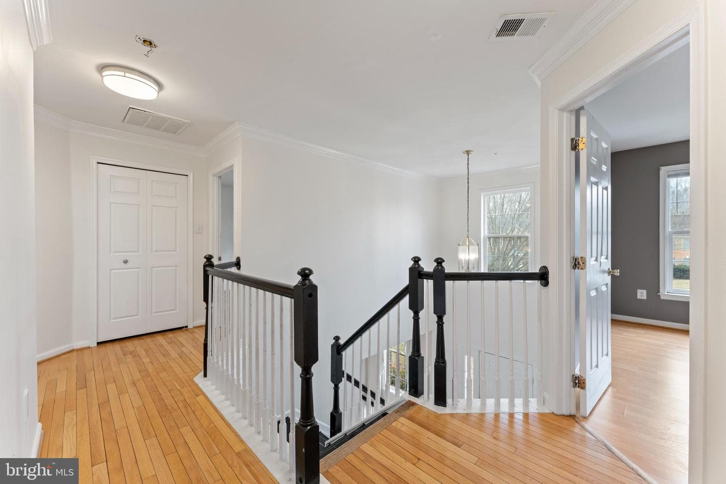 10110 Goose Pond Court photo 18