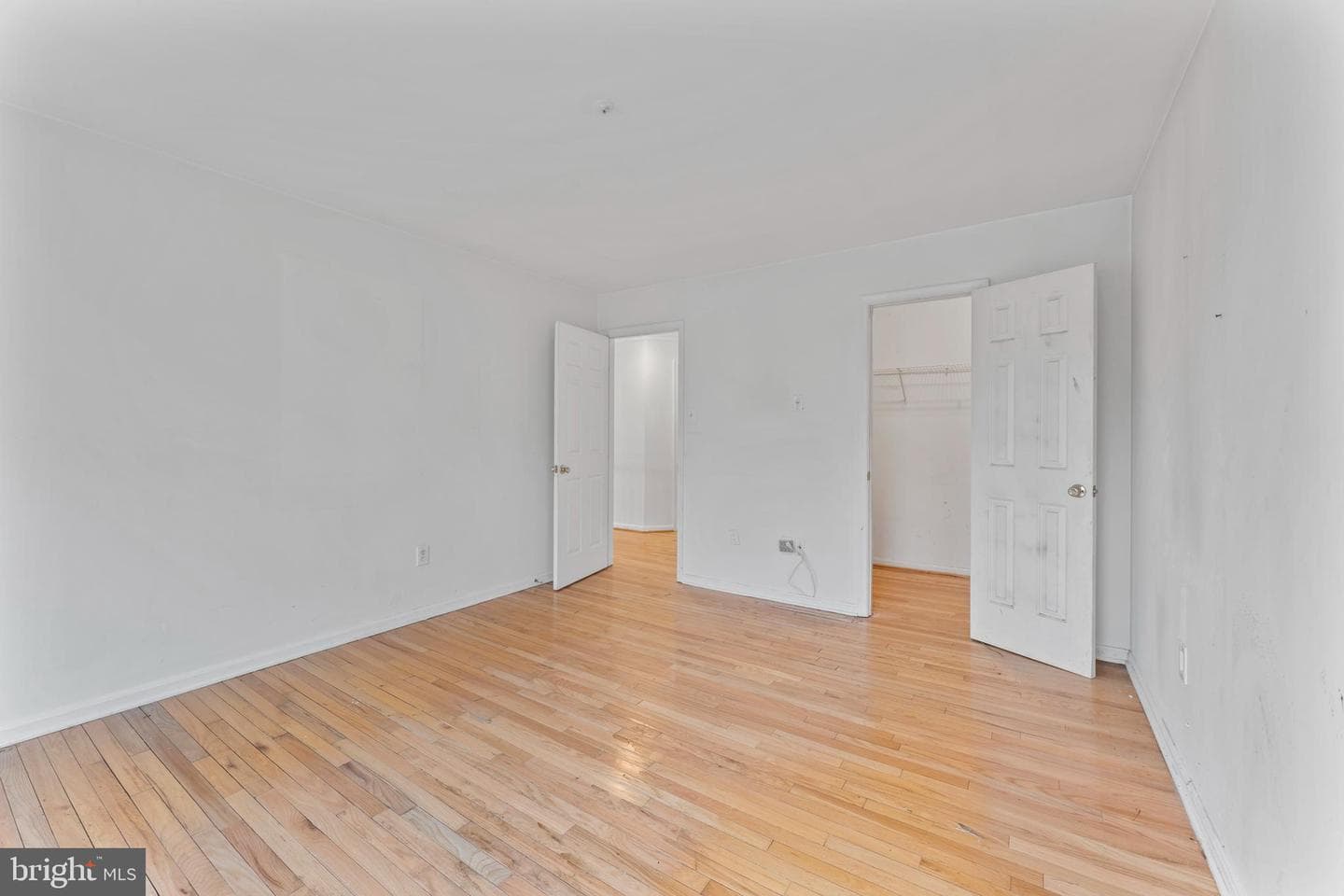 10110 Goose Pond Court photo 20