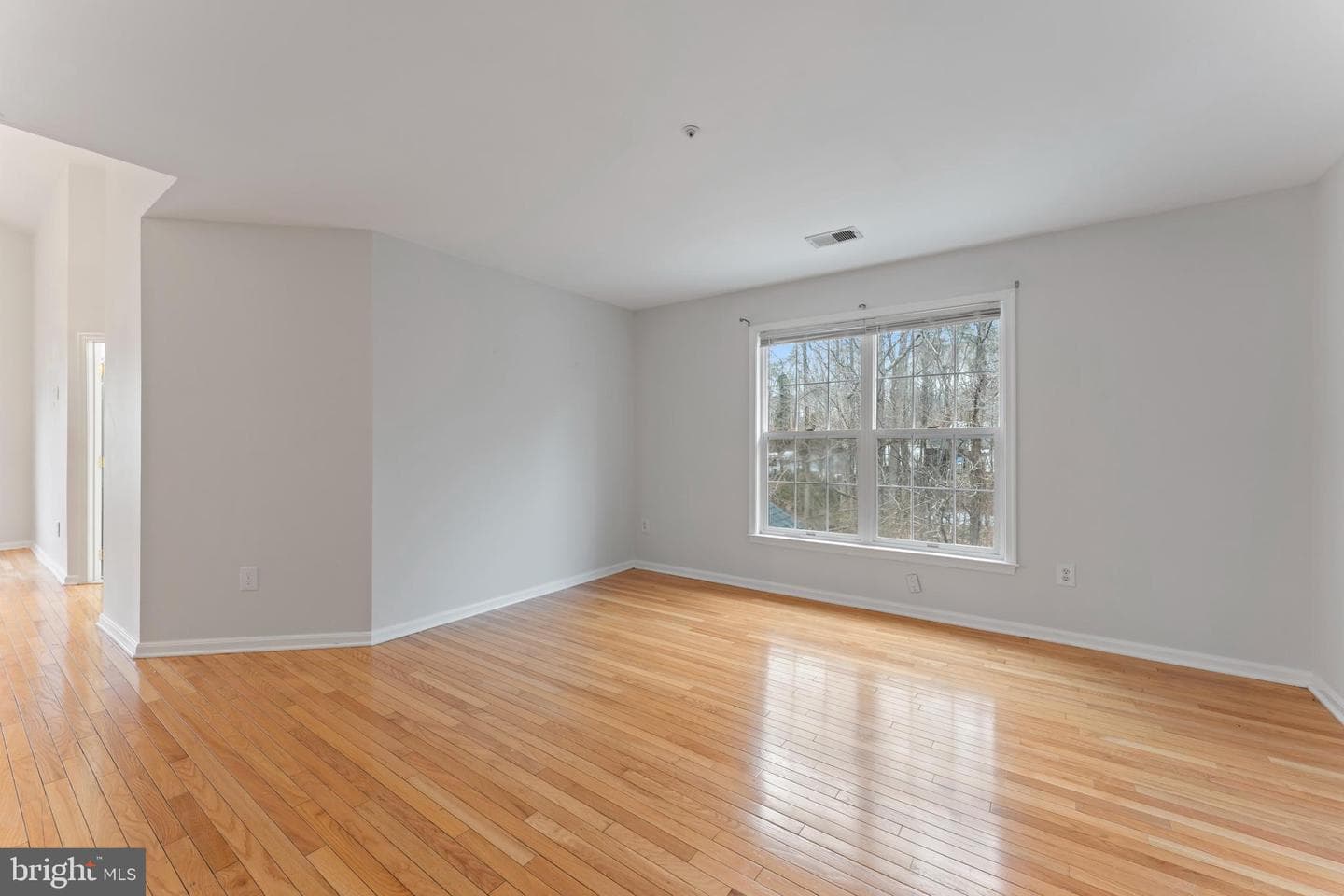 10110 Goose Pond Court photo 29