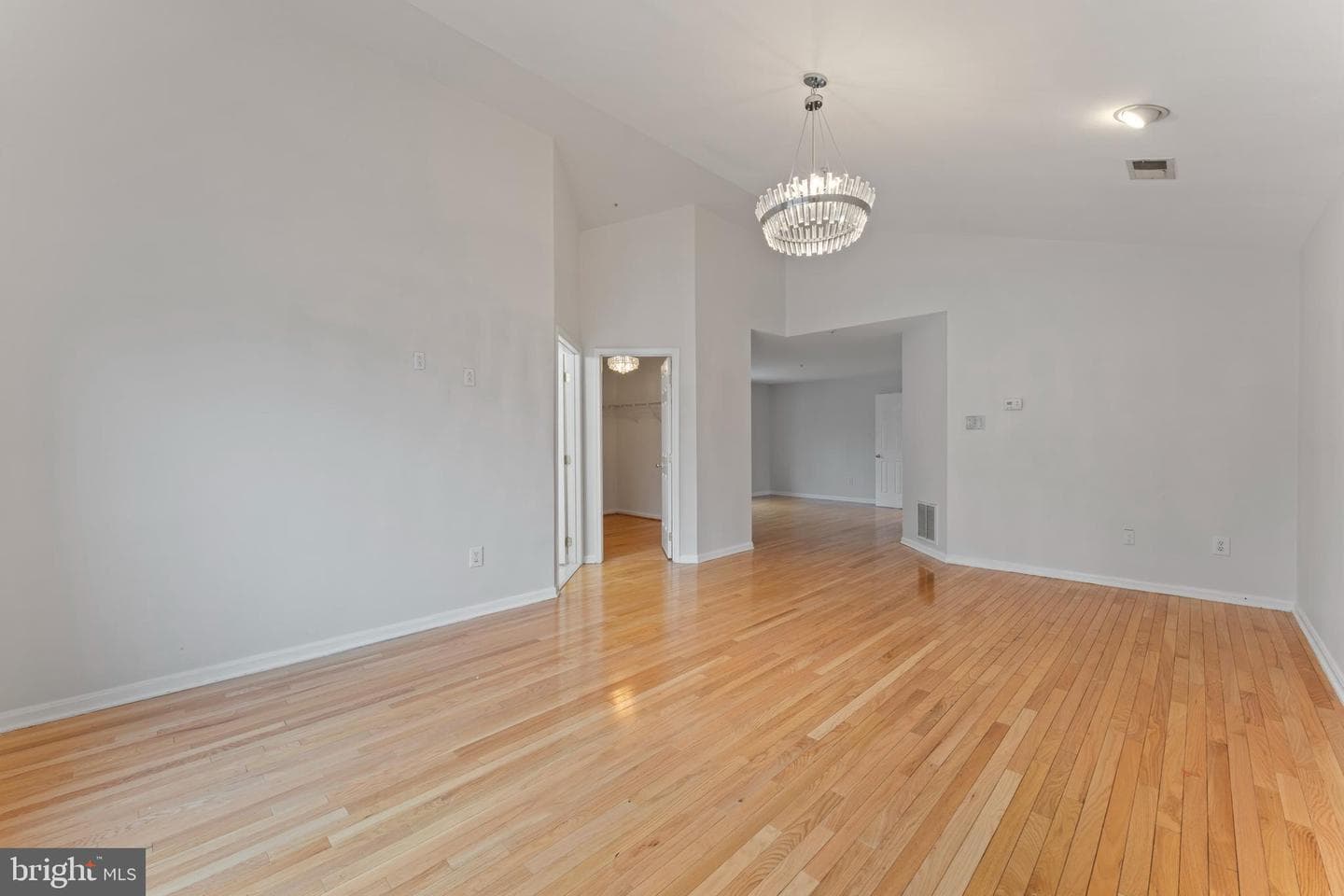 10110 Goose Pond Court photo 34