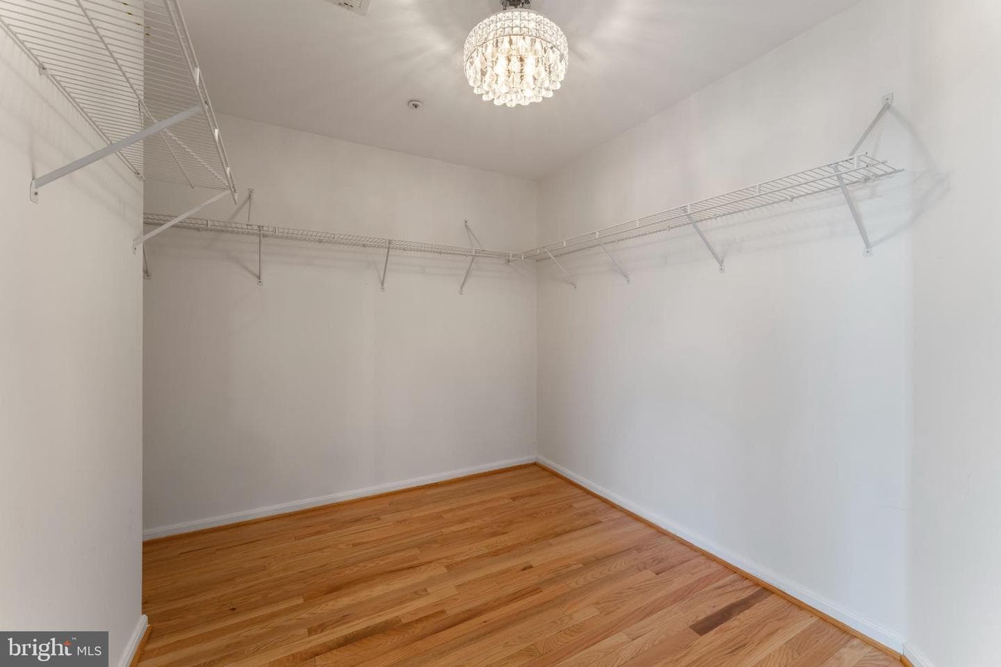 10110 Goose Pond Court photo 35