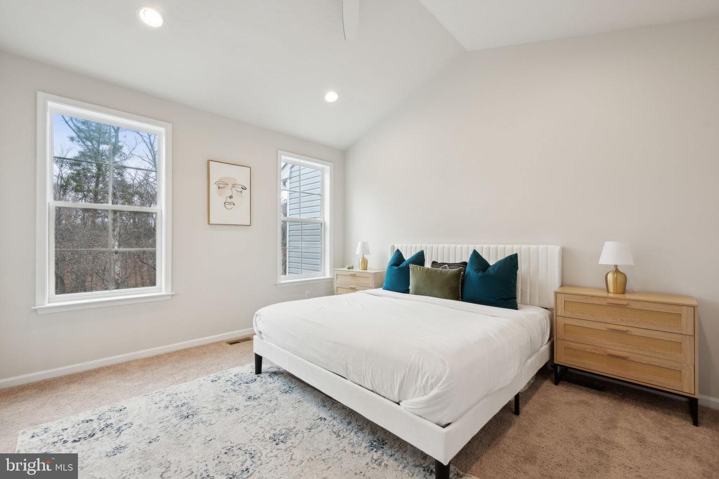 1008 Overlook Way photo 9