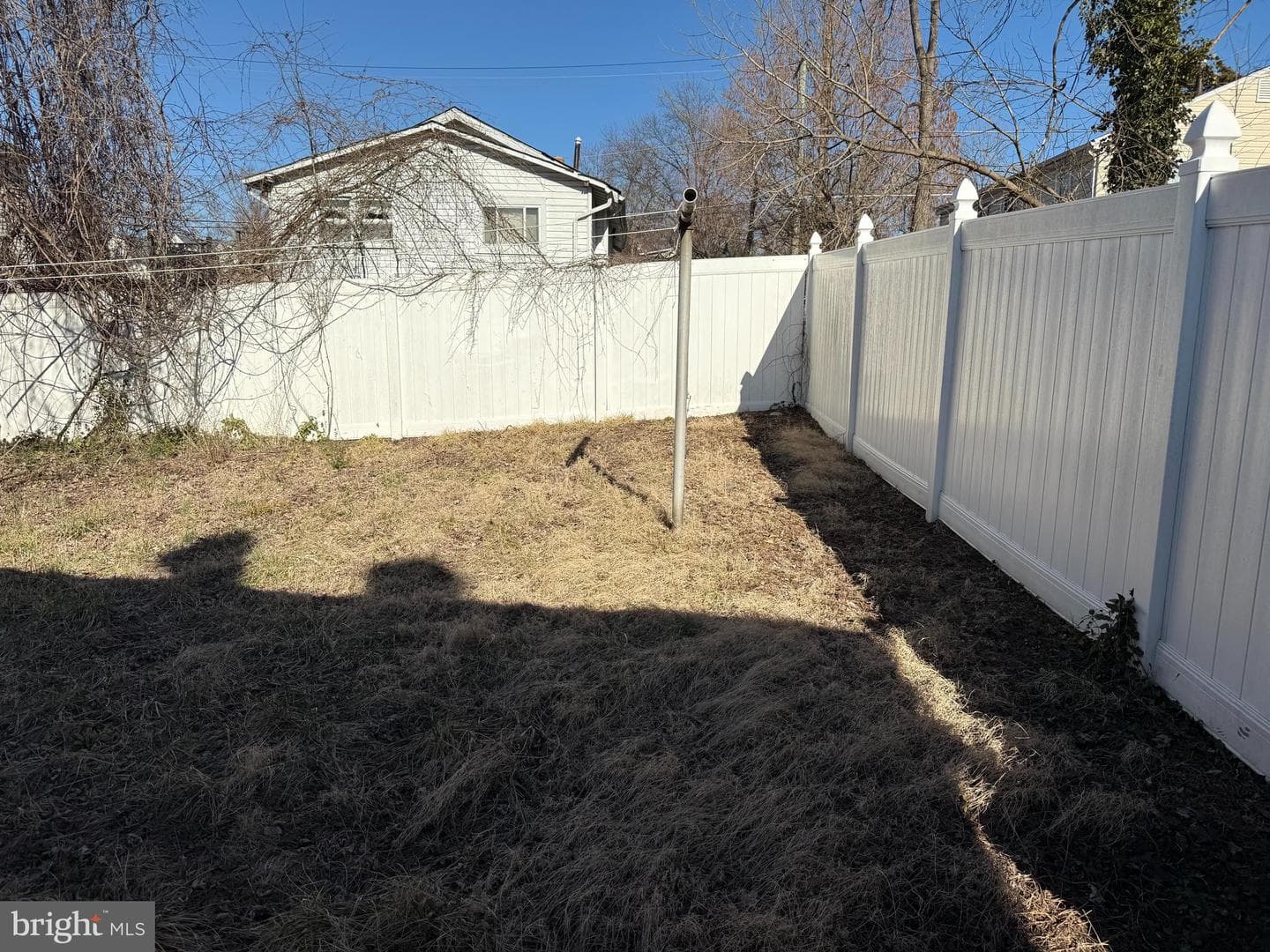 505 Cedarleaf Avenue photo 3