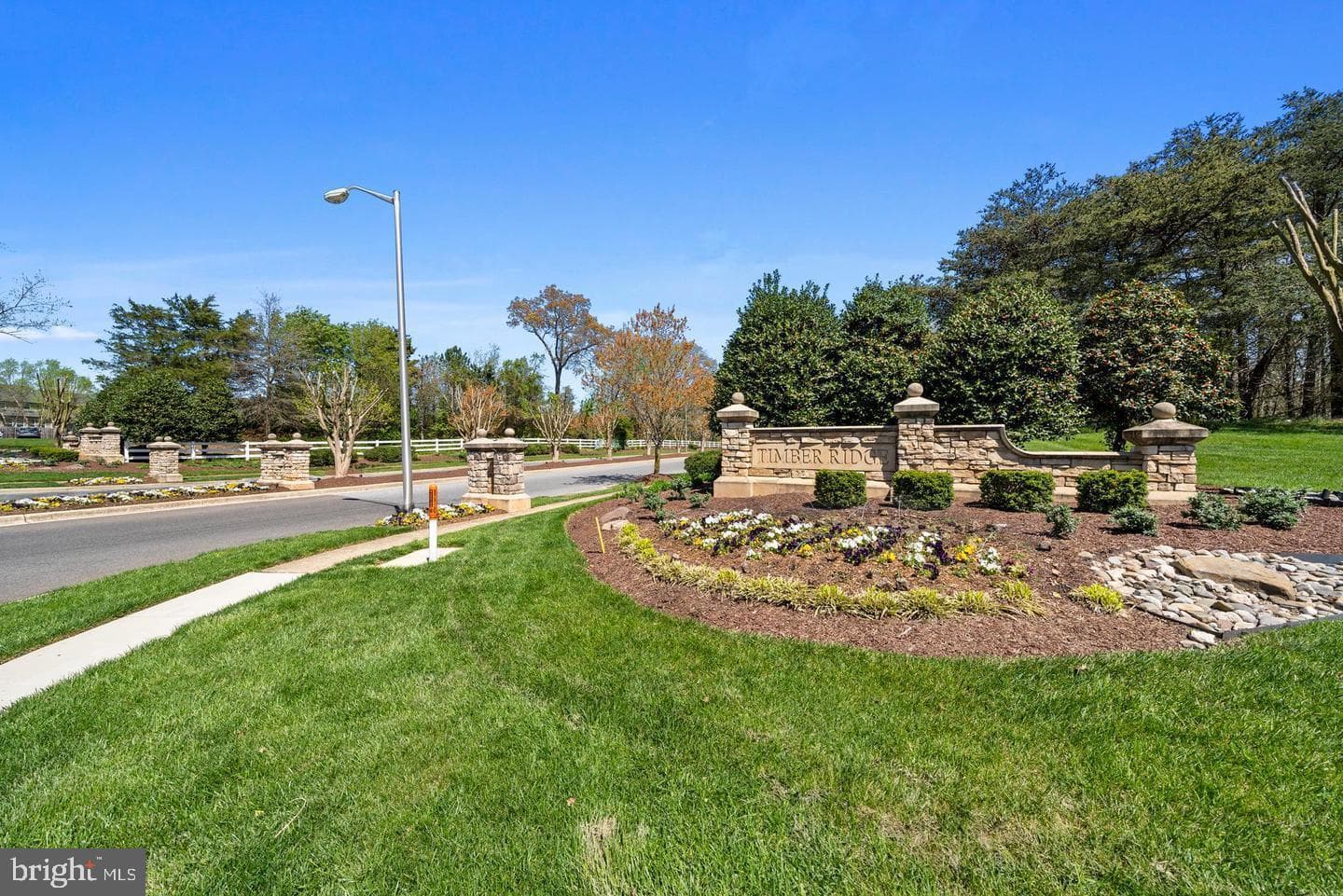 7203 Purple Ash Court photo 2