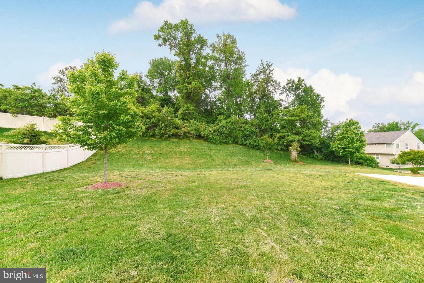 7203 Purple Ash Court photo 25
