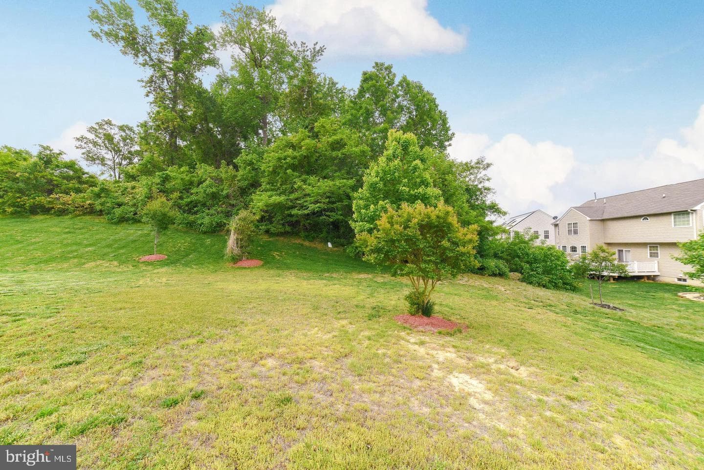7203 Purple Ash Court photo 26