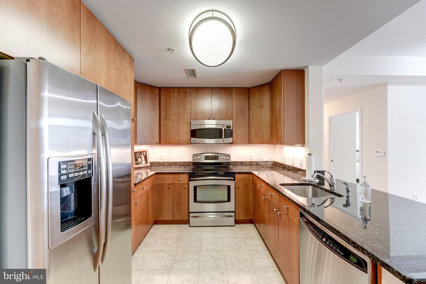 155 Potomac #710 photo 10