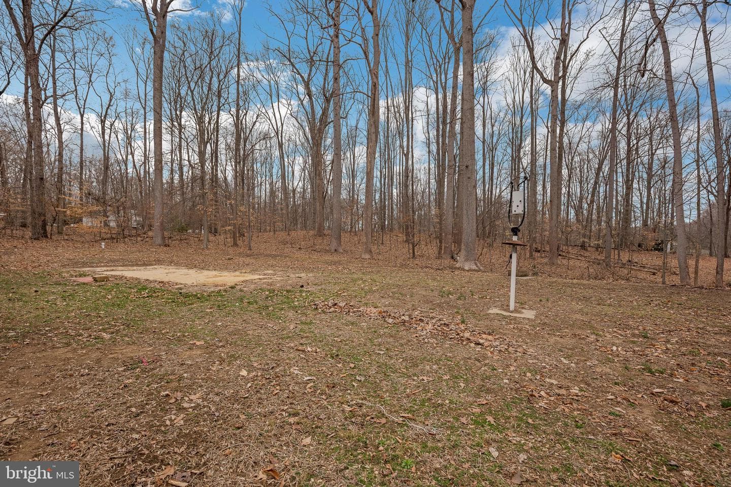 14500 Thorpe Lane photo 30