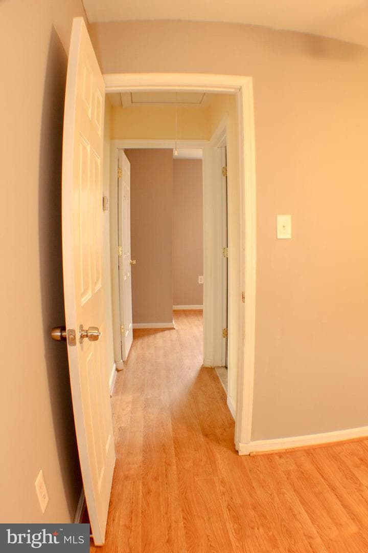 911 Minna Avenue photo 12