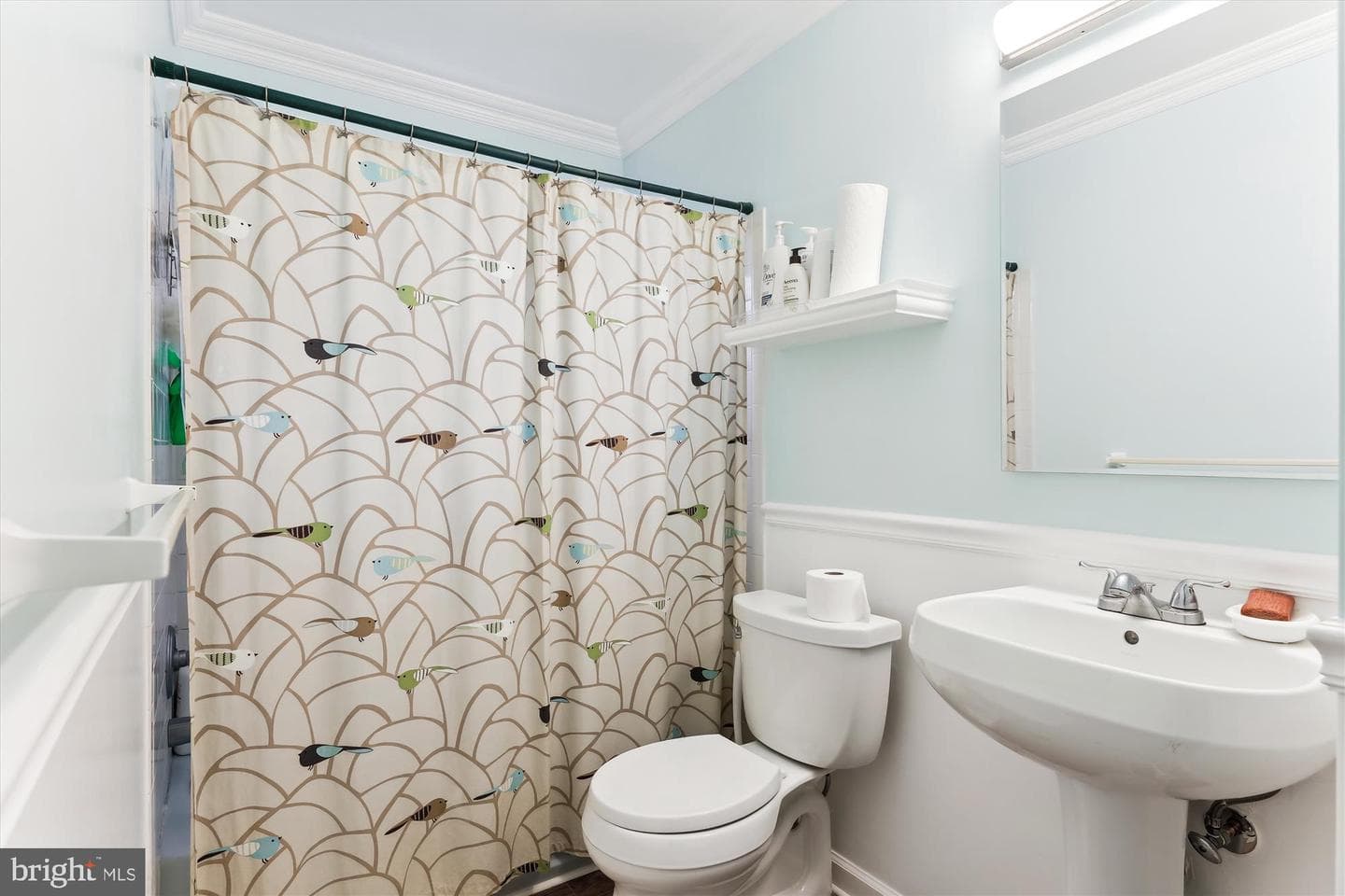 10406 Basel Drive photo 10