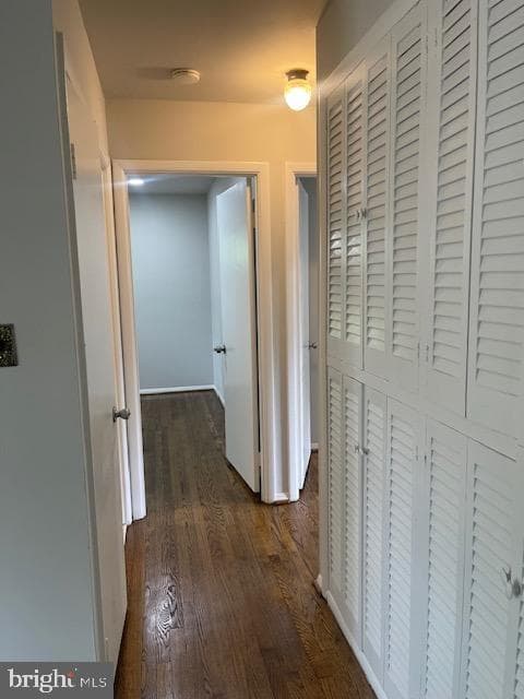 5402 Marlene Drive photo 30