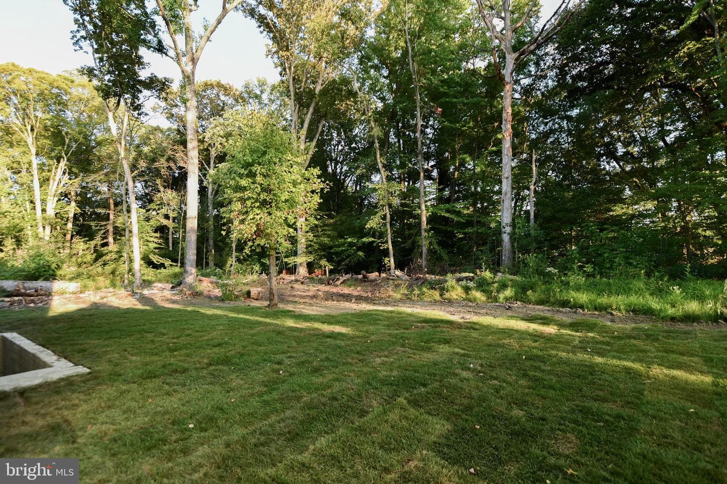 16305 Ayrwood Lane photo 60