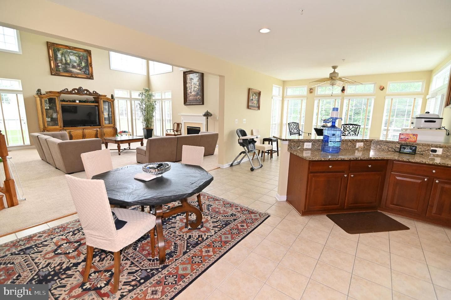 301 Lismore Drive photo 56