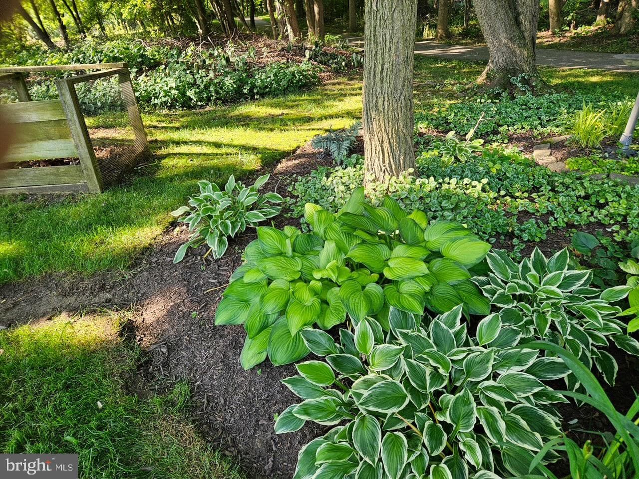 15903 Ann Arbor Court photo 41