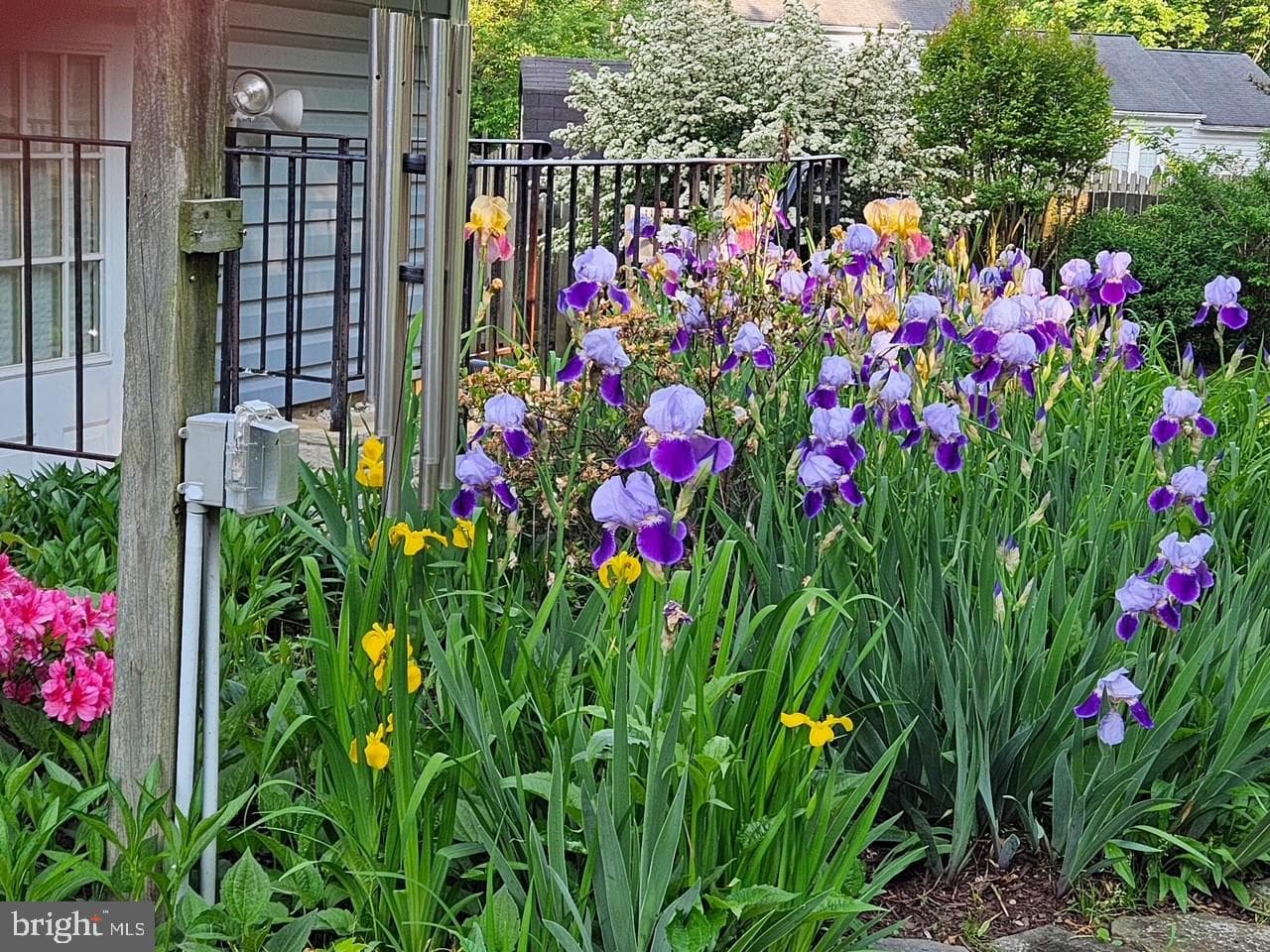 15903 Ann Arbor Court photo 45