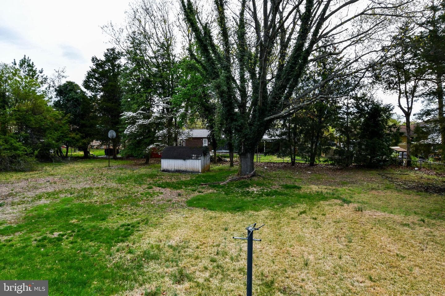 9706 Indian Princess Drive photo 16