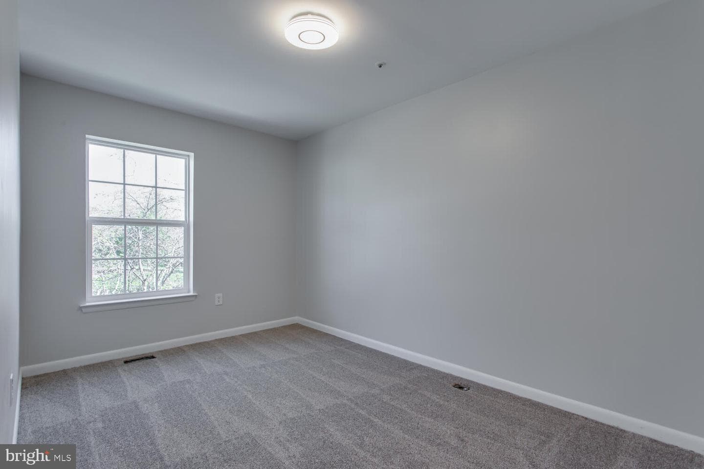 3504 Princess Caroline Court photo 12