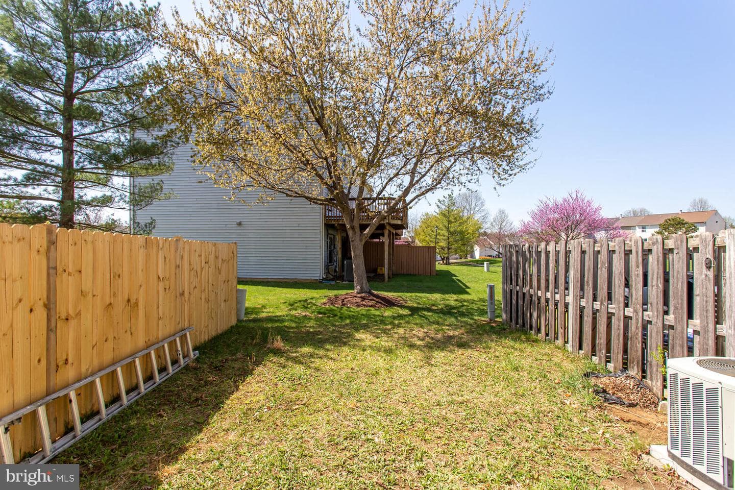 3504 Princess Caroline Court photo 7