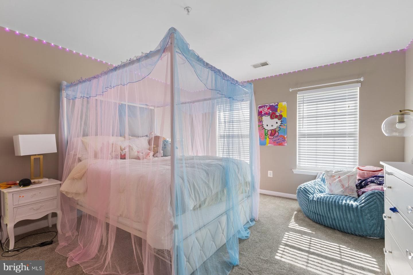 1003 Strausberg Street photo 28