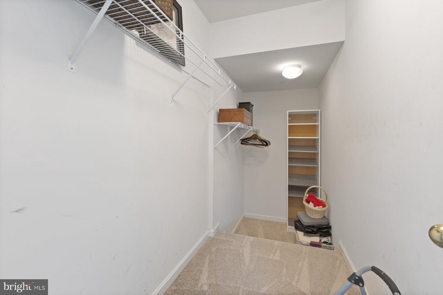1003 Strausberg Street photo 38