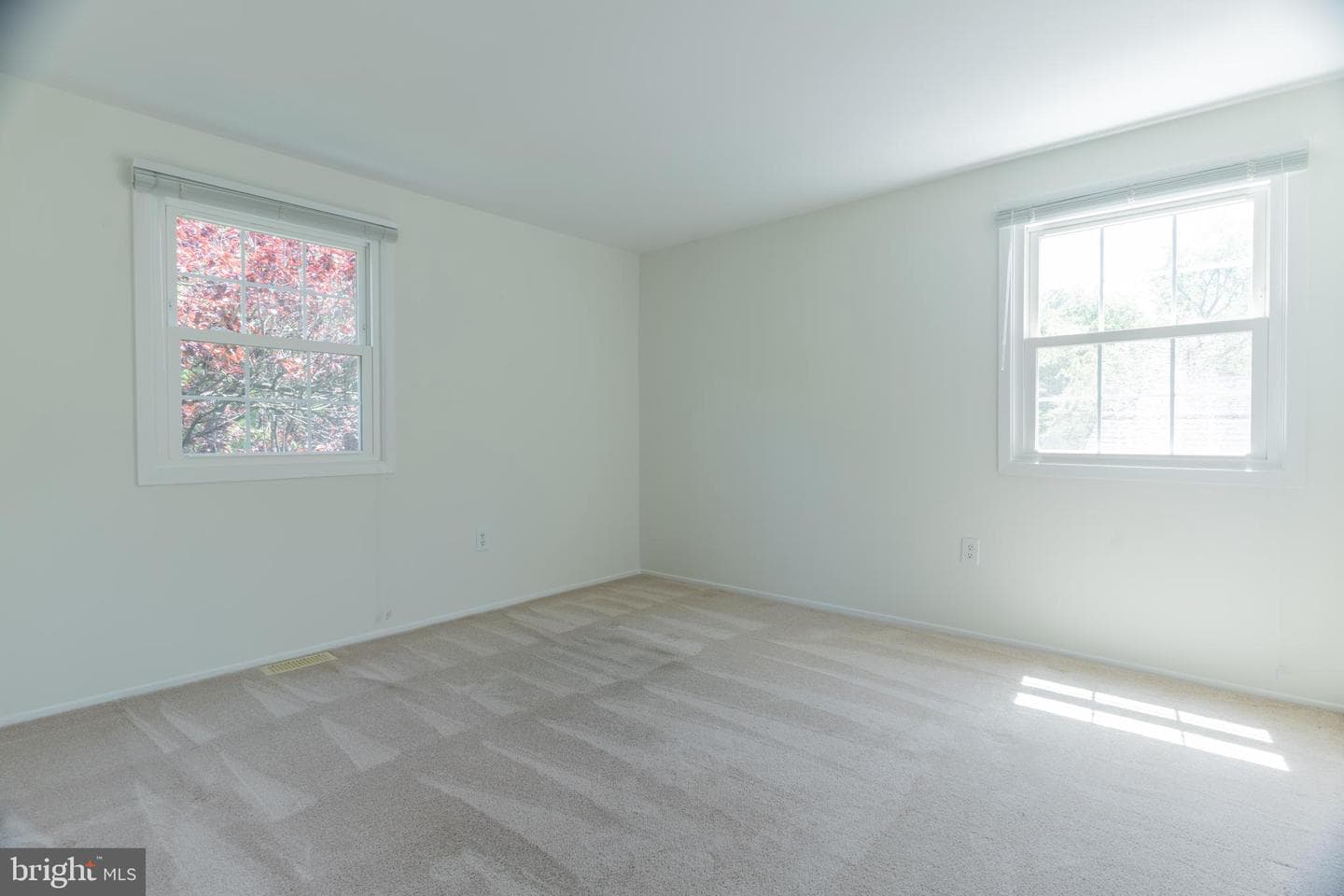 12412 Mount Pleasant Drive photo 17