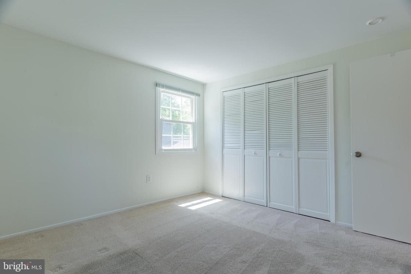 12412 Mount Pleasant Drive photo 18