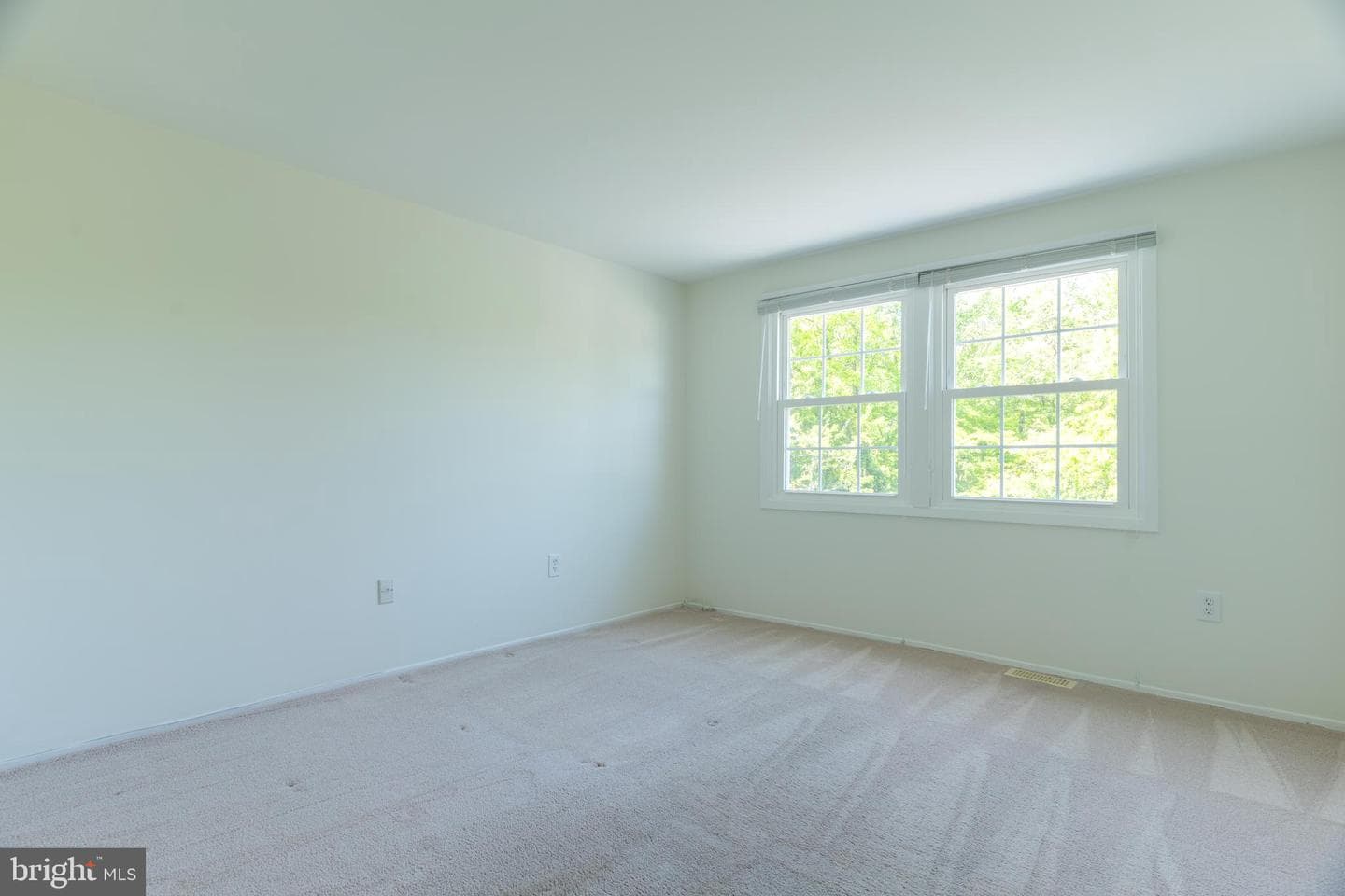 12412 Mount Pleasant Drive photo 19