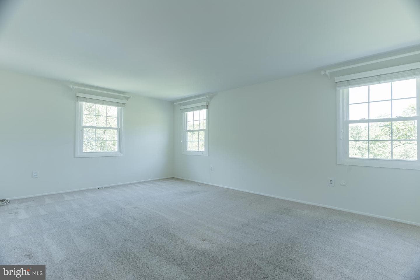 12412 Mount Pleasant Drive photo 24