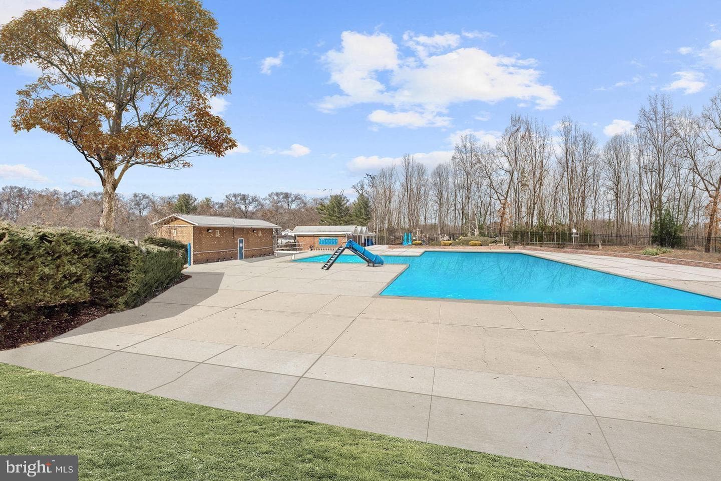 12412 Mount Pleasant Drive photo 33