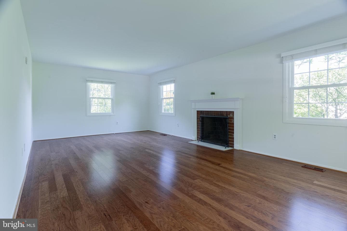 12412 Mount Pleasant Drive photo 5