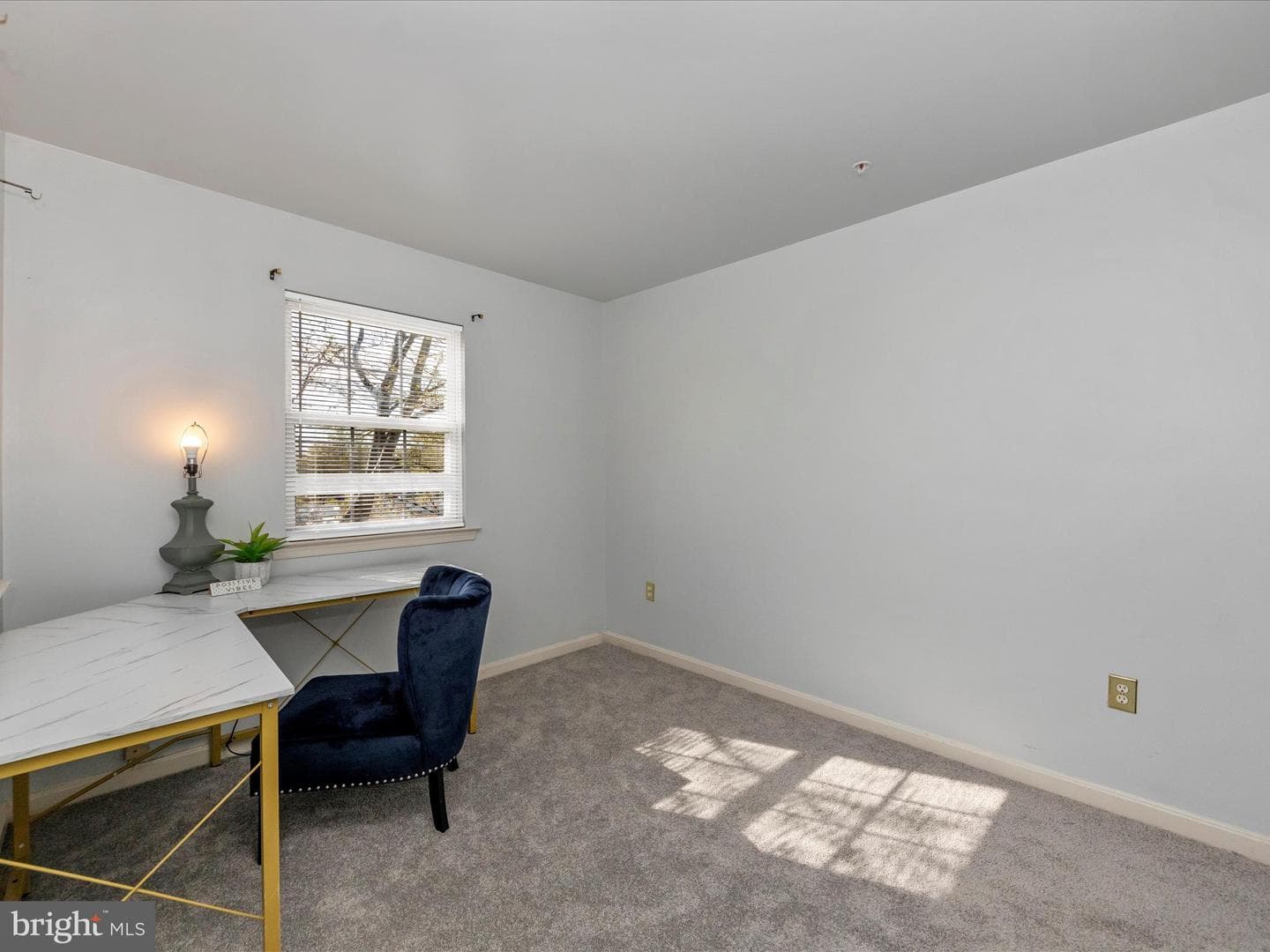 11234 Hannah Way #1 photo 34