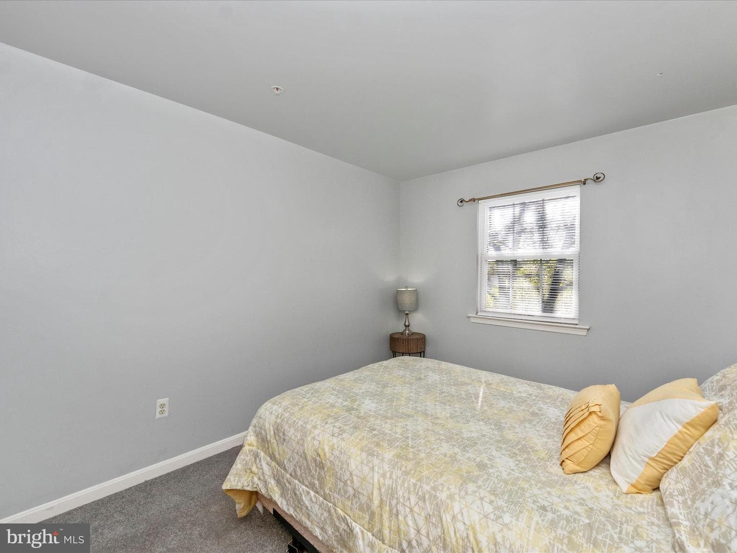 11234 Hannah Way #1 photo 37