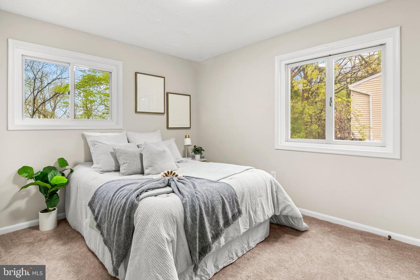14129 Spring Branch Drive photo 15