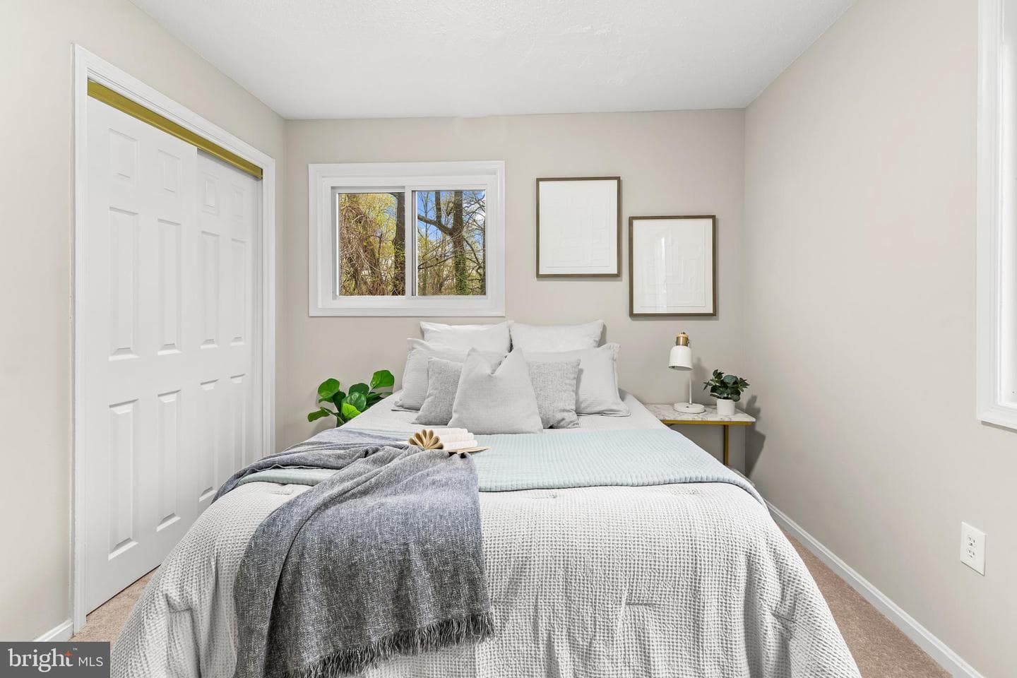 14129 Spring Branch Drive photo 16