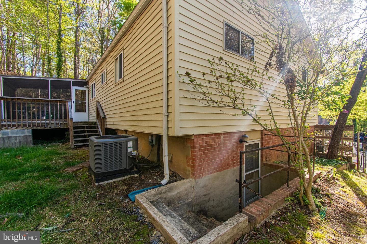 3701 Walnut Lane photo 19