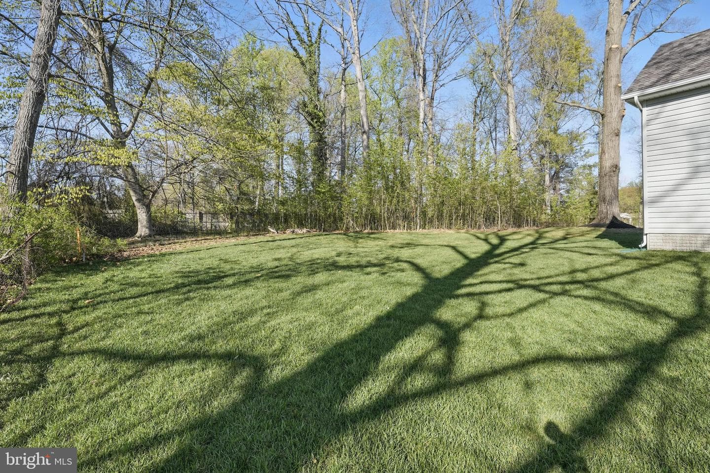 8504 Wendy Street photo 4