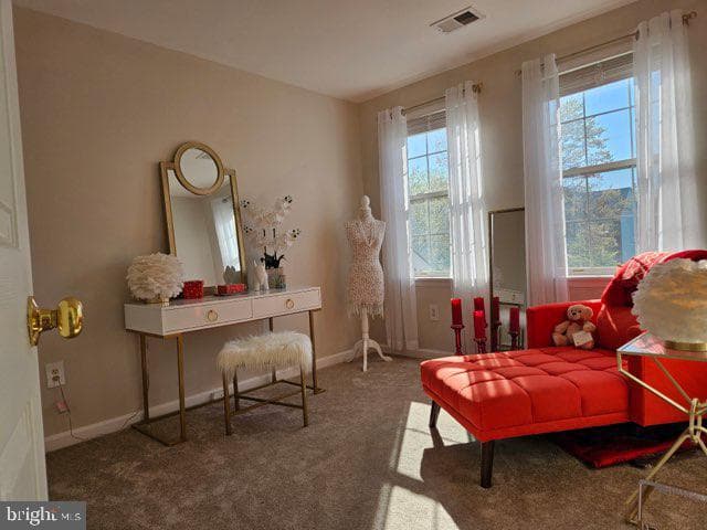 15100 Dunleigh Drive photo 13