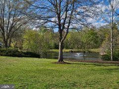 15100 Dunleigh Drive photo 8