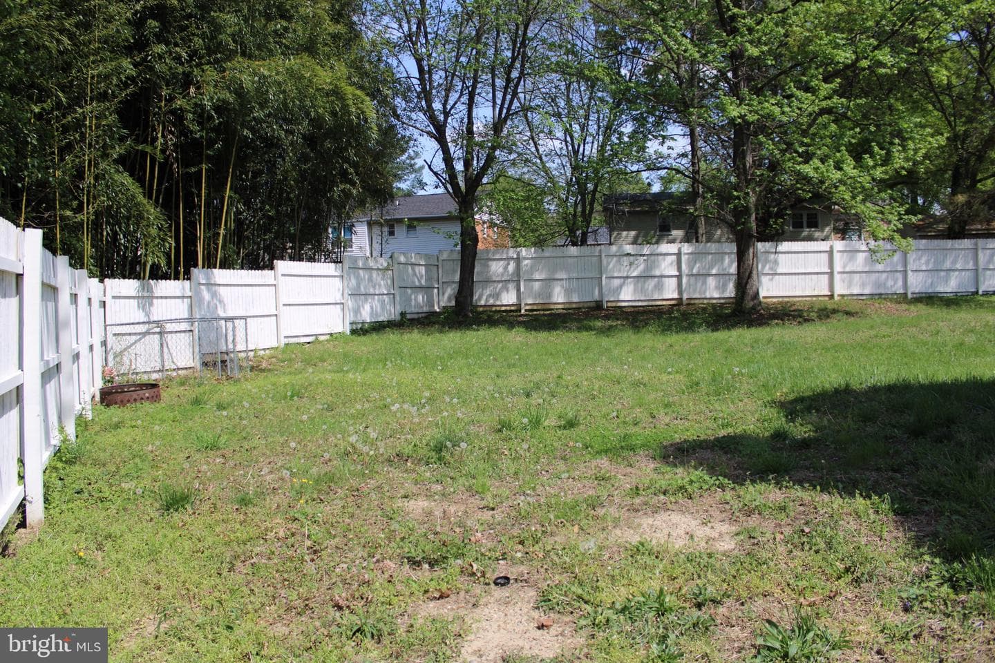9700 Frank Tippett Road photo 23