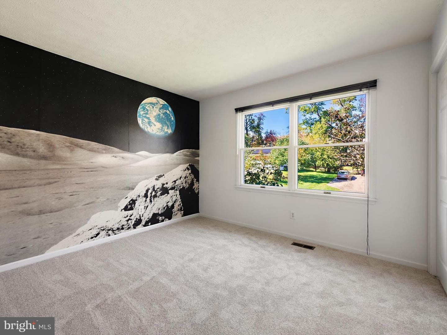 6601 Facchina Lane photo 30