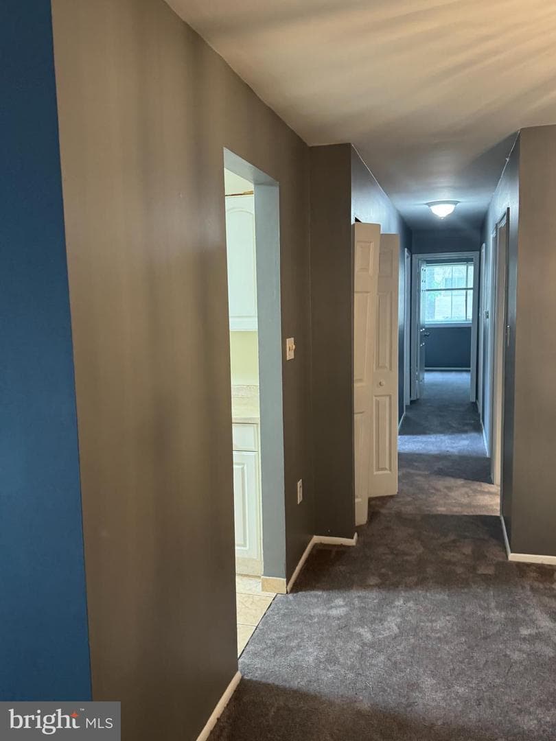 11316 Cherry Hill Road #203 photo 11