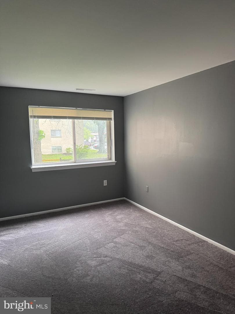 11316 Cherry Hill Road #203 photo 2
