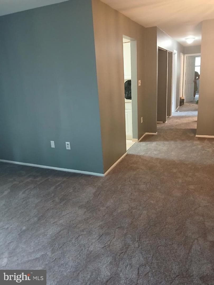 11316 Cherry Hill Road #203 photo 4